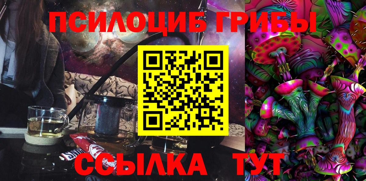 Псилоцибиновые грибы прущие грибы Северобайкальск