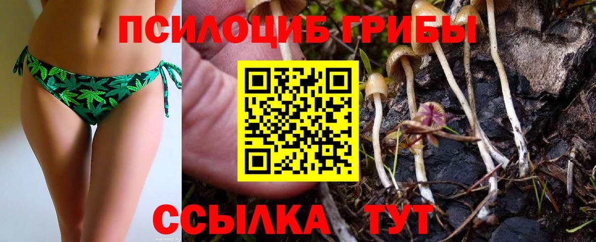 Галлюциногенные грибы MAGIC MUSHROOMS  Вход с VPN  Северобайкальск 